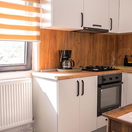 Nina House Leilighet Târgu Jiu Rom bilde
